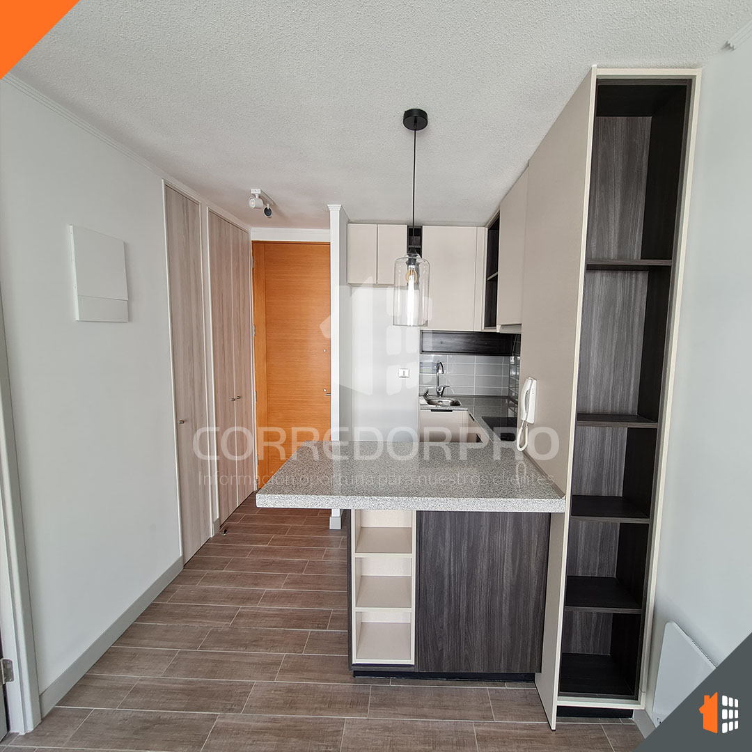 Santiago, Región Metropolitana, 1 Dormitorio Habitaciones, ,1 BañoBathrooms,Departamento,En Venta,2360