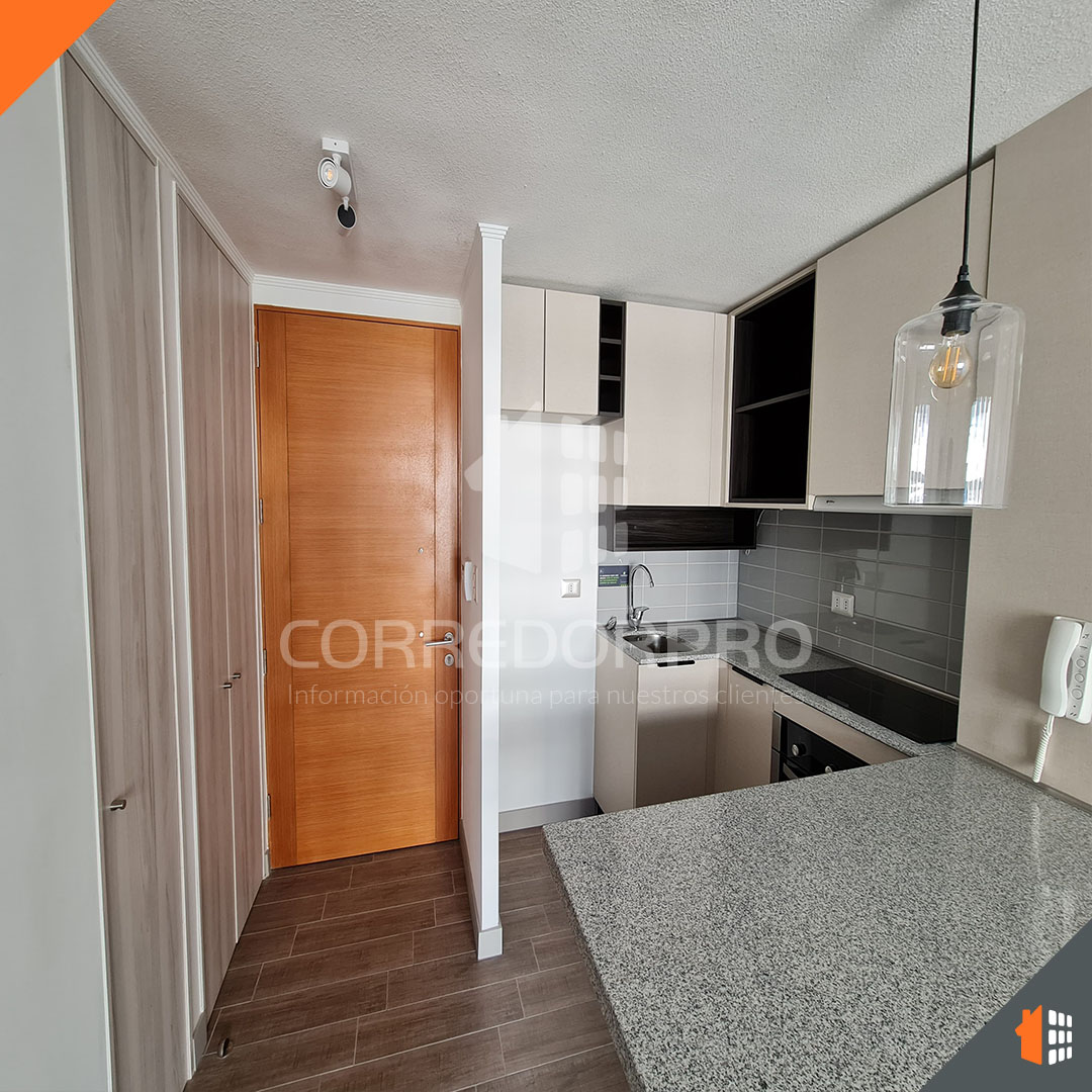 Santiago, Región Metropolitana, 1 Dormitorio Habitaciones, ,1 BañoBathrooms,Departamento,En Venta,2360