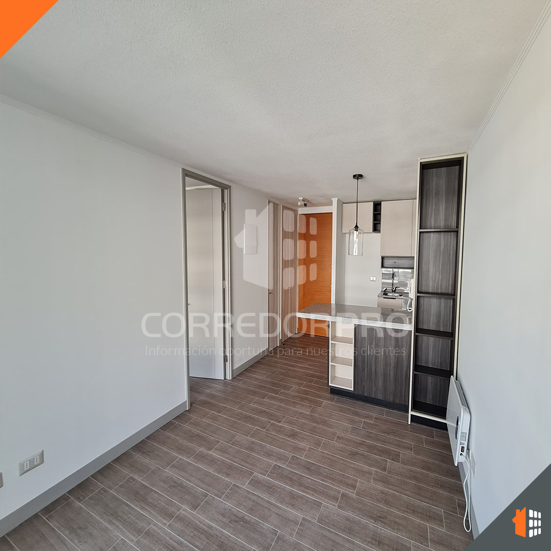 Santiago, Región Metropolitana, 1 Dormitorio Habitaciones, ,1 BañoBathrooms,Departamento,En Venta,2360