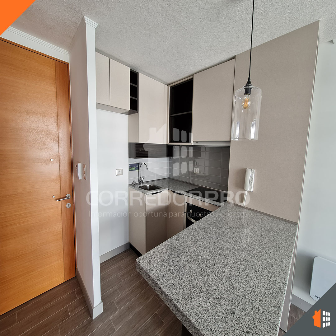 Santiago, Región Metropolitana, 1 Dormitorio Habitaciones, ,1 BañoBathrooms,Departamento,En Venta,2360