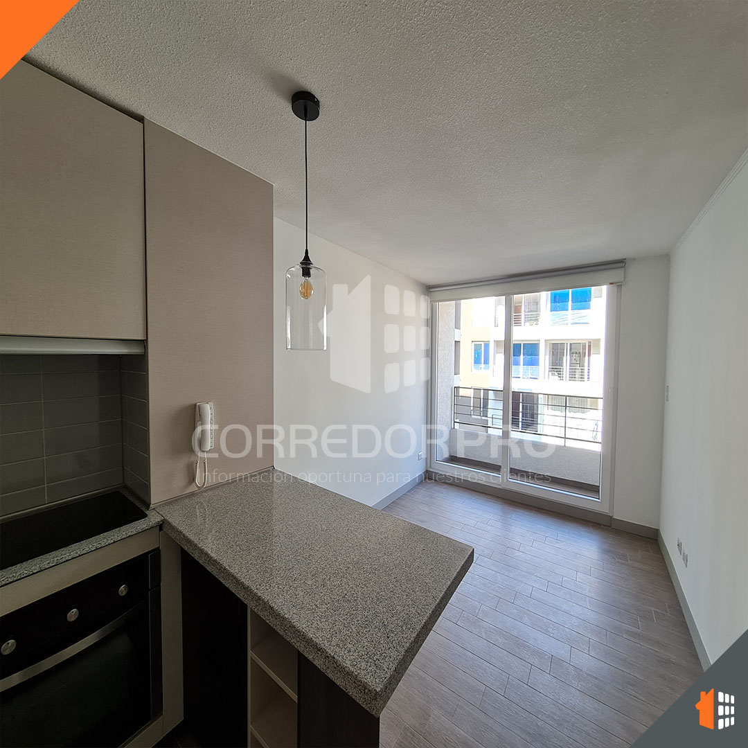 Santiago, Región Metropolitana, 1 Dormitorio Habitaciones, ,1 BañoBathrooms,Departamento,En Venta,2360