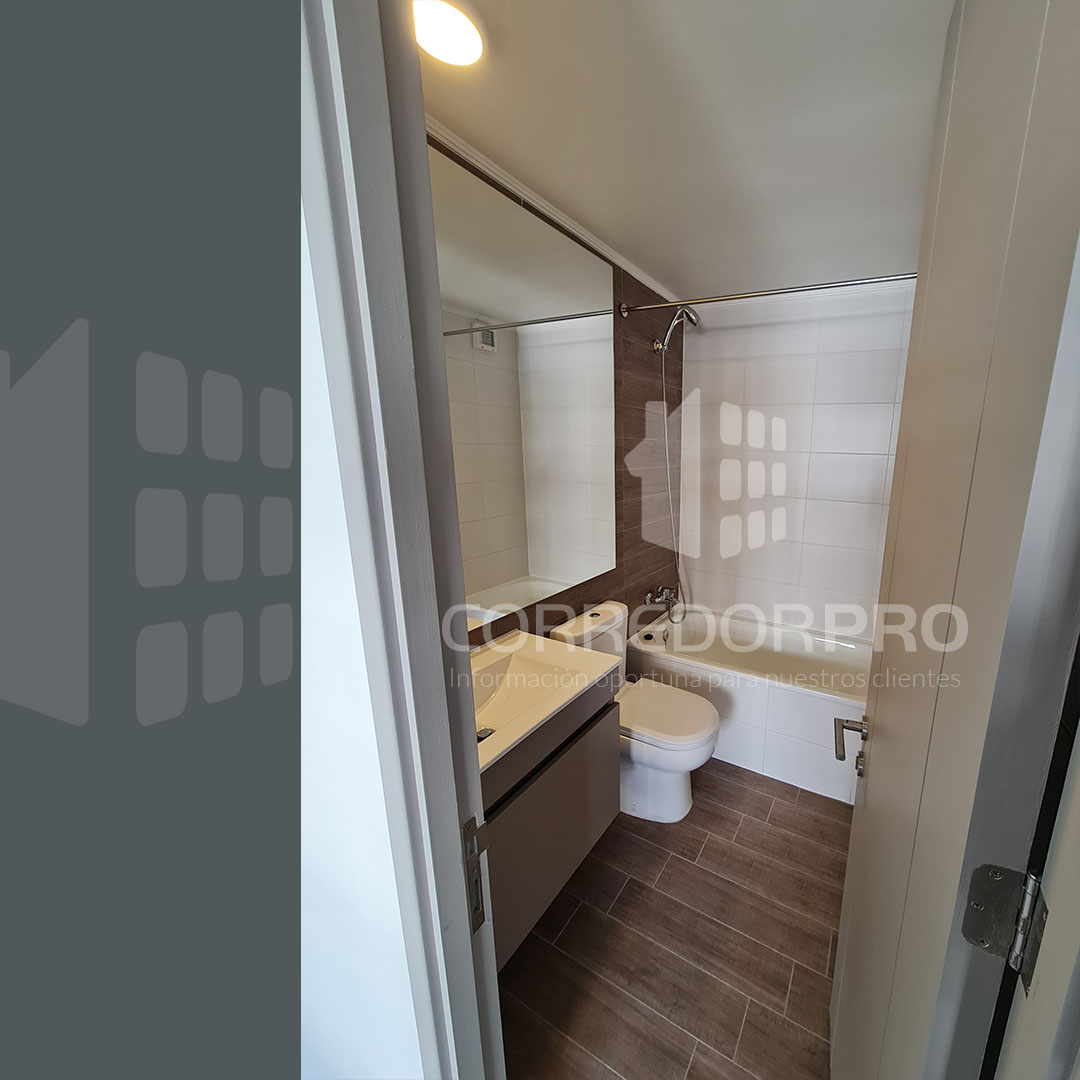 Santiago, Región Metropolitana, 1 Dormitorio Habitaciones, ,1 BañoBathrooms,Departamento,En Venta,2360