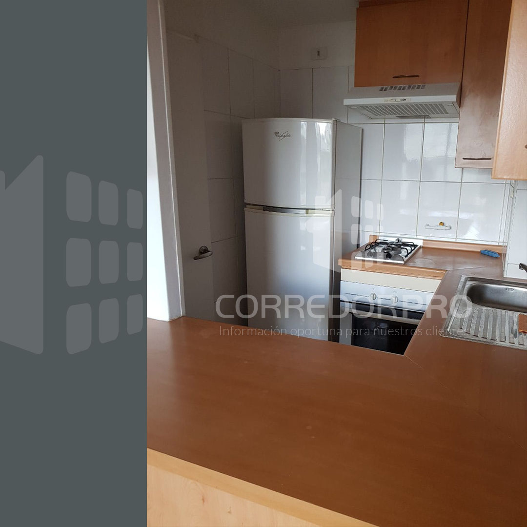 Santiago, Región Metropolitana, 1 Dormitorio Habitaciones, ,1 BañoBathrooms,Departamento,En Venta,2383