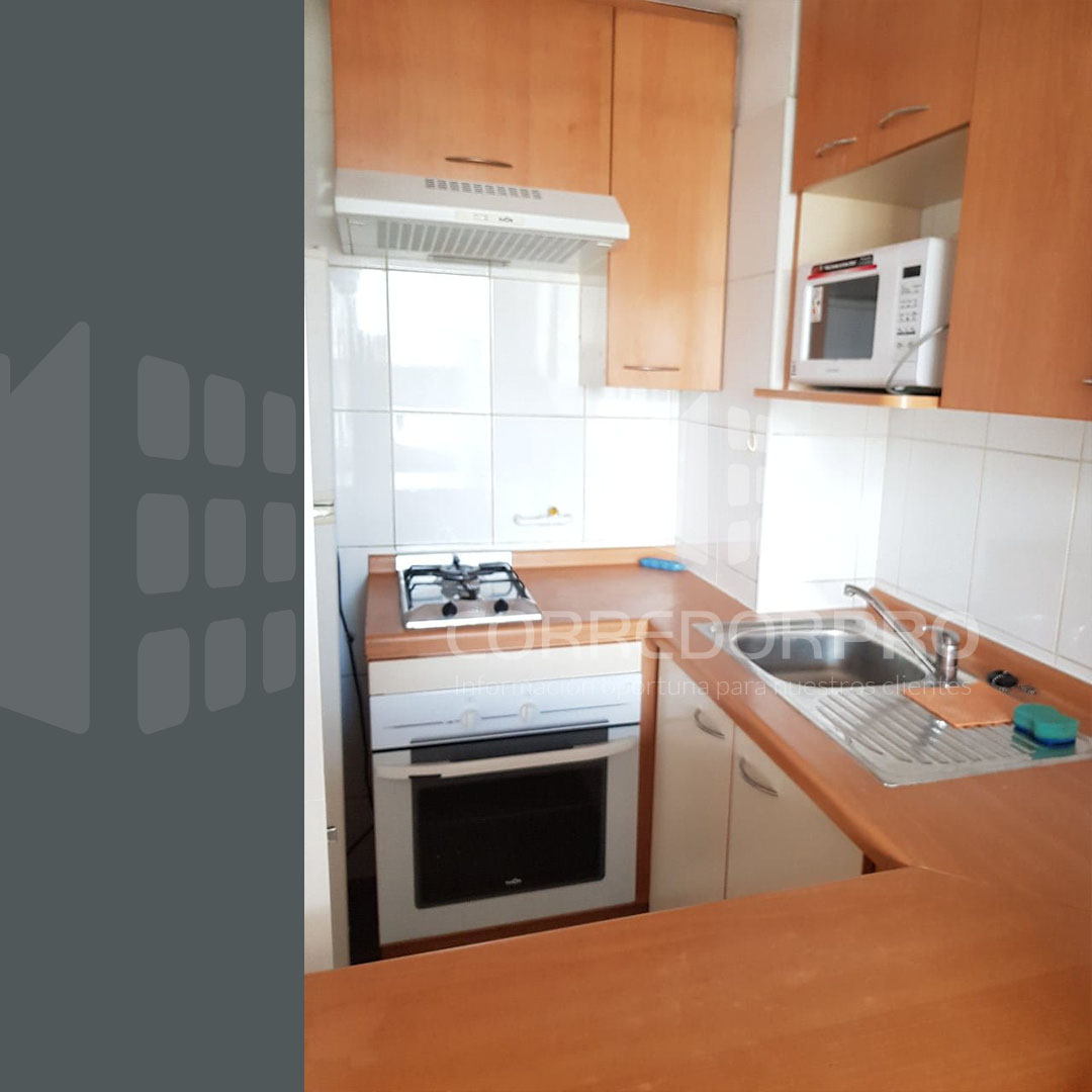 Santiago, Región Metropolitana, 1 Dormitorio Habitaciones, ,1 BañoBathrooms,Departamento,En Venta,2383