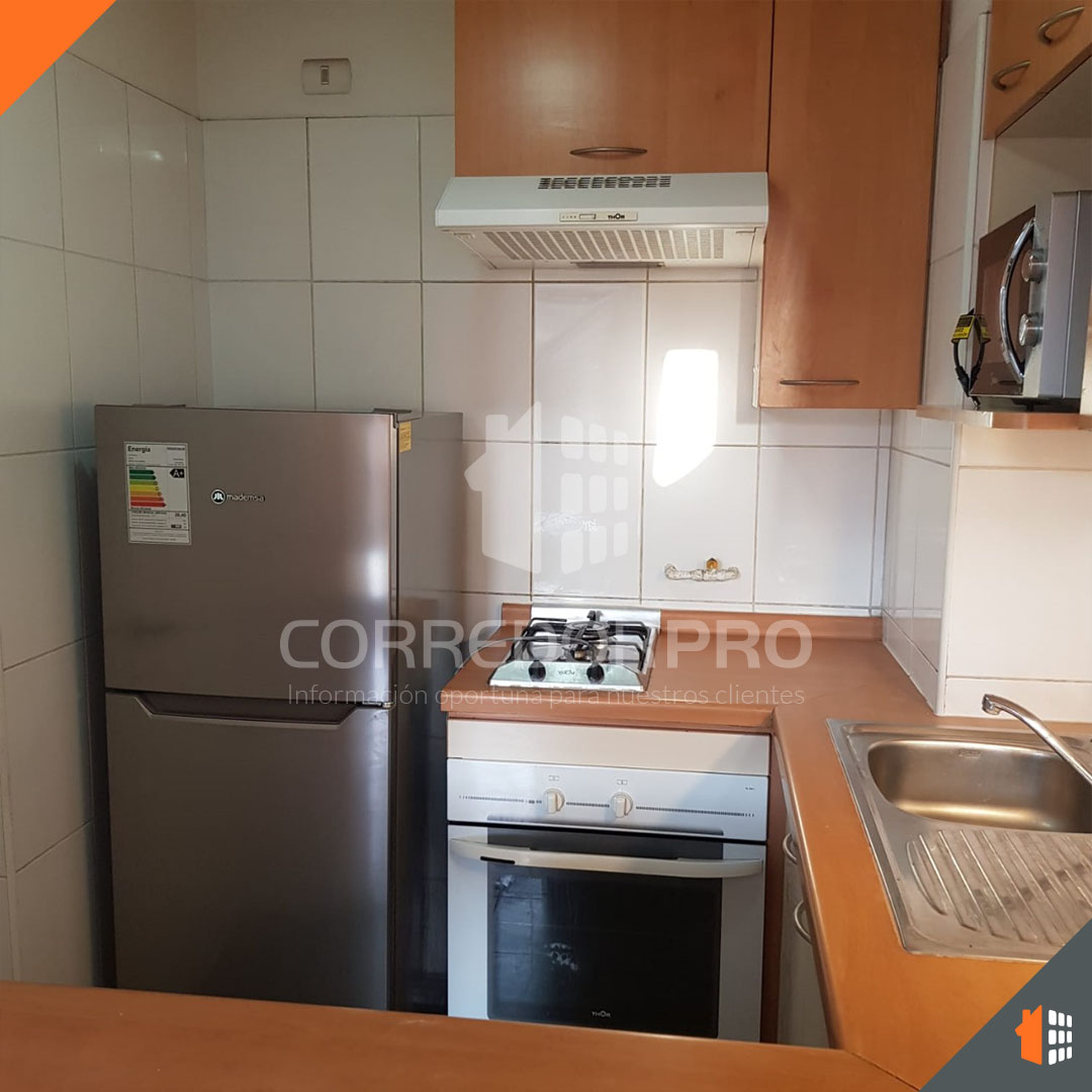 Santiago, Región Metropolitana, 1 Dormitorio Habitaciones, ,1 BañoBathrooms,Departamento,En Venta,2383