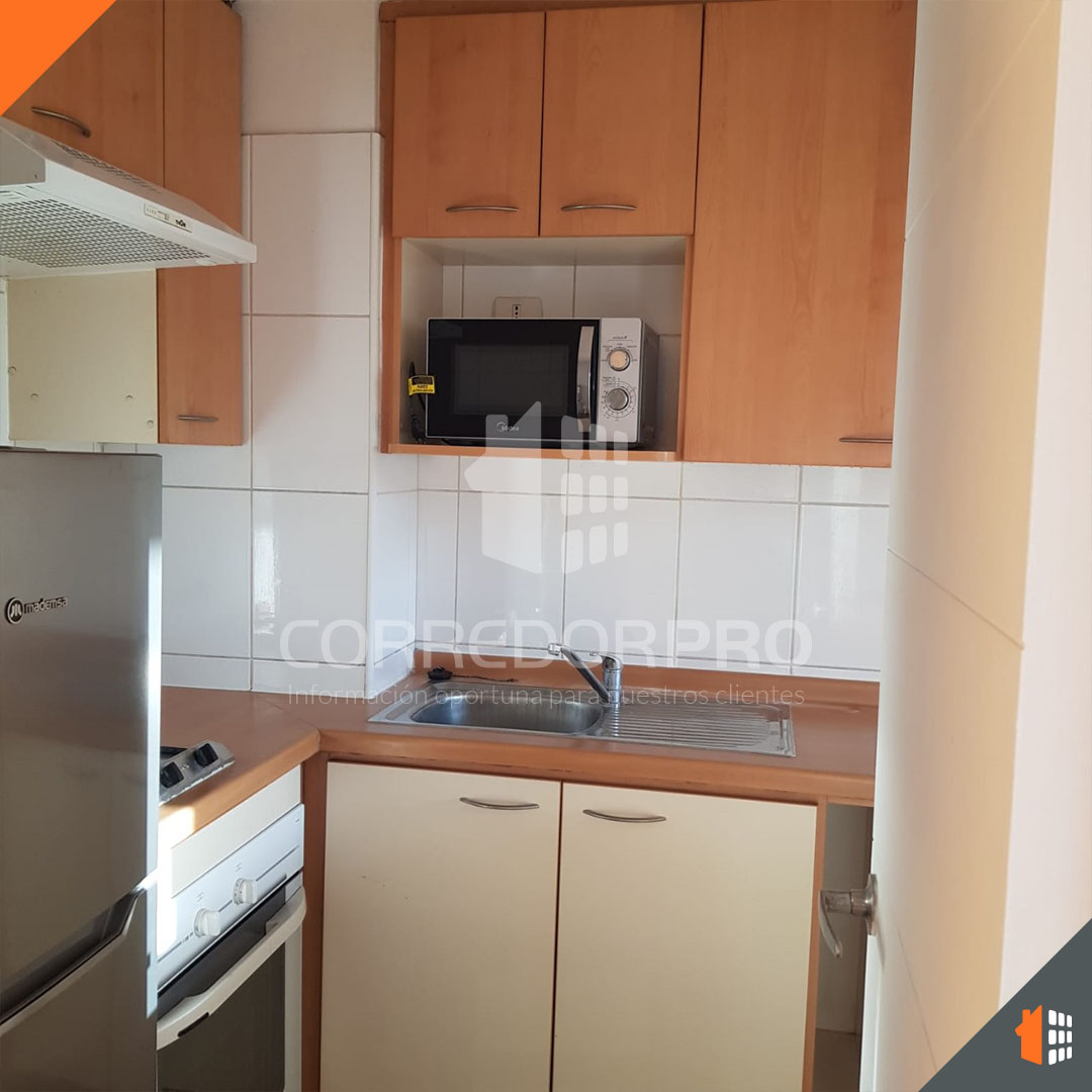 Santiago, Región Metropolitana, 1 Dormitorio Habitaciones, ,1 BañoBathrooms,Departamento,En Venta,2383