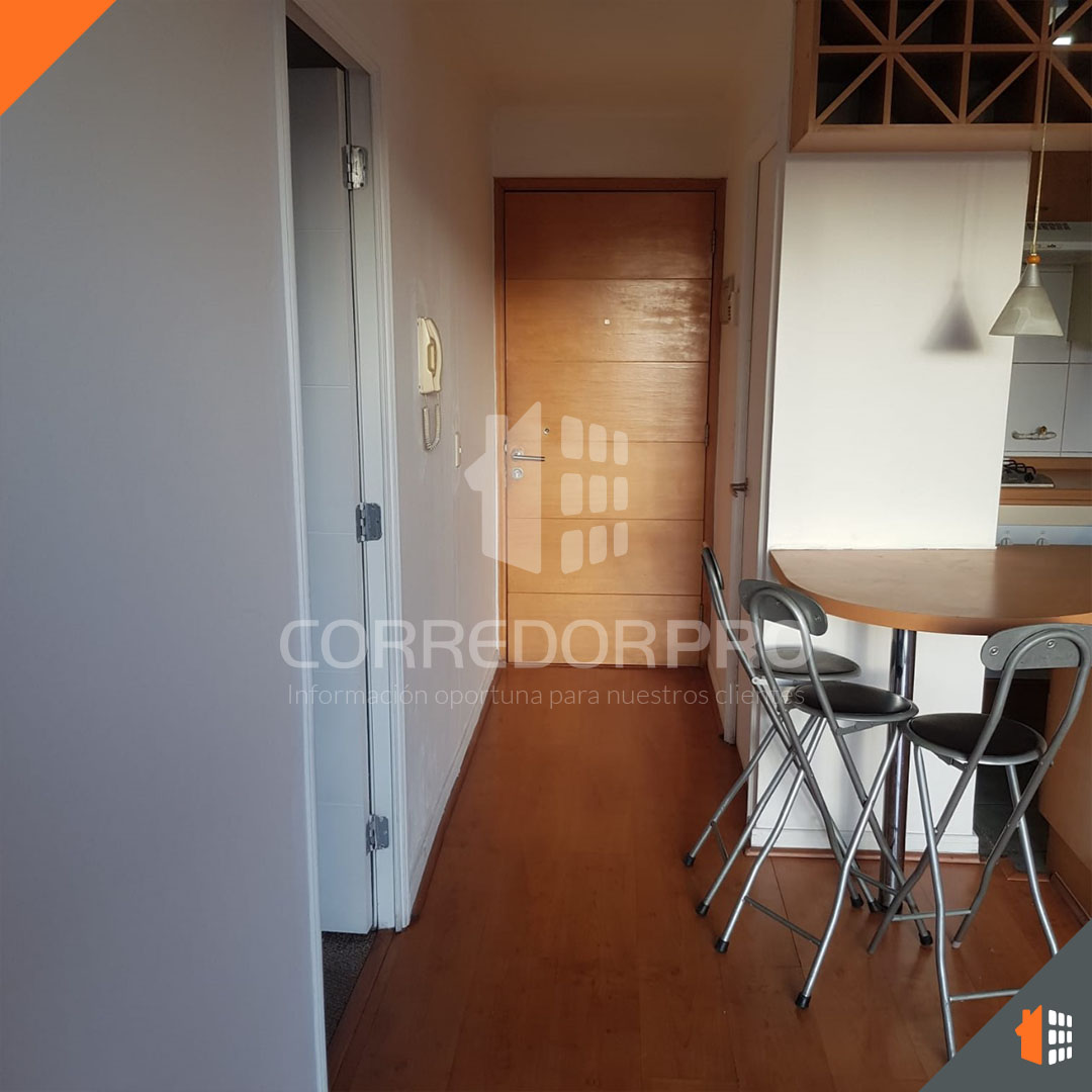 Santiago, Región Metropolitana, 1 Dormitorio Habitaciones, ,1 BañoBathrooms,Departamento,En Venta,2383