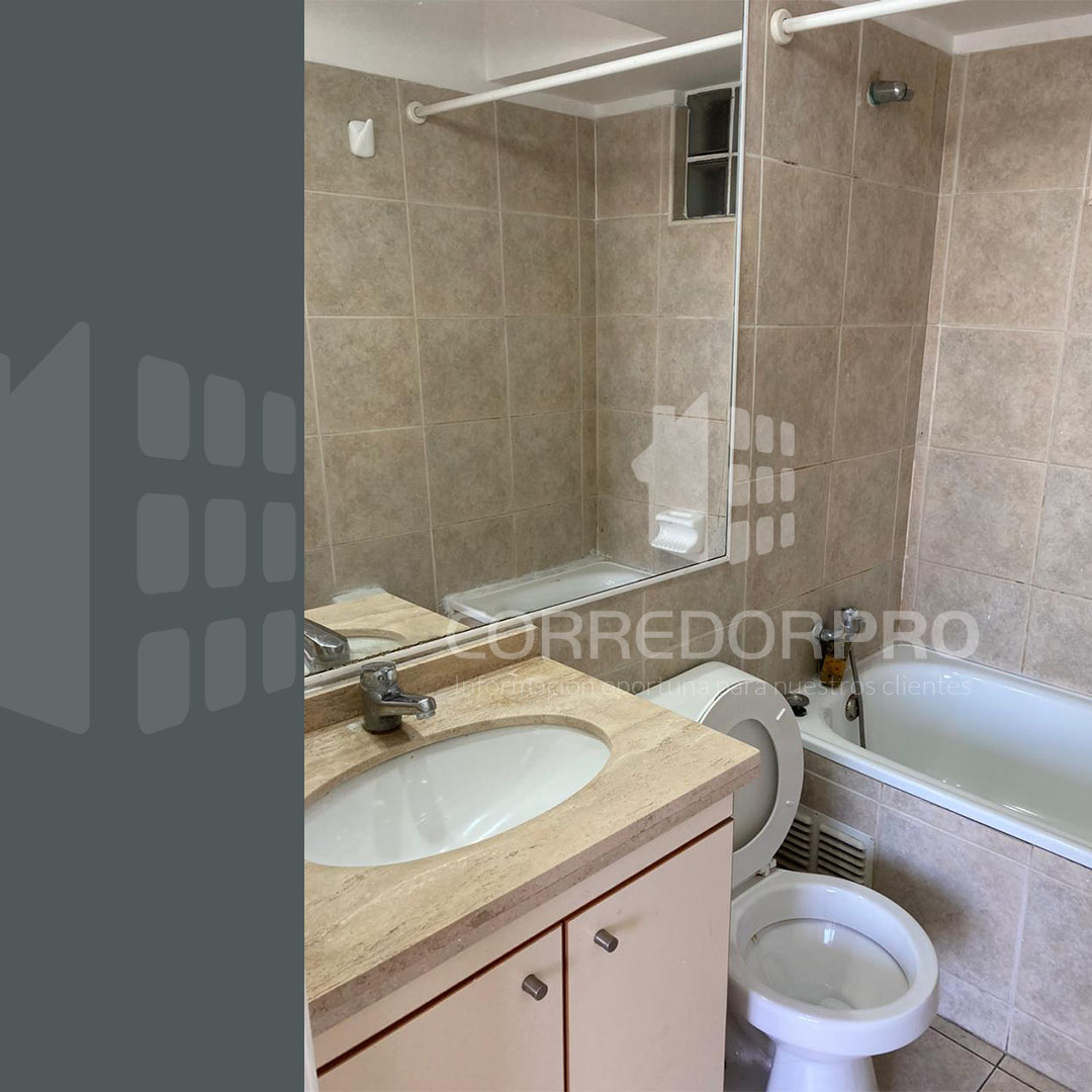 Santiago, Región Metropolitana, 1 Dormitorio Habitaciones, ,1 BañoBathrooms,Departamento,En Venta,2383