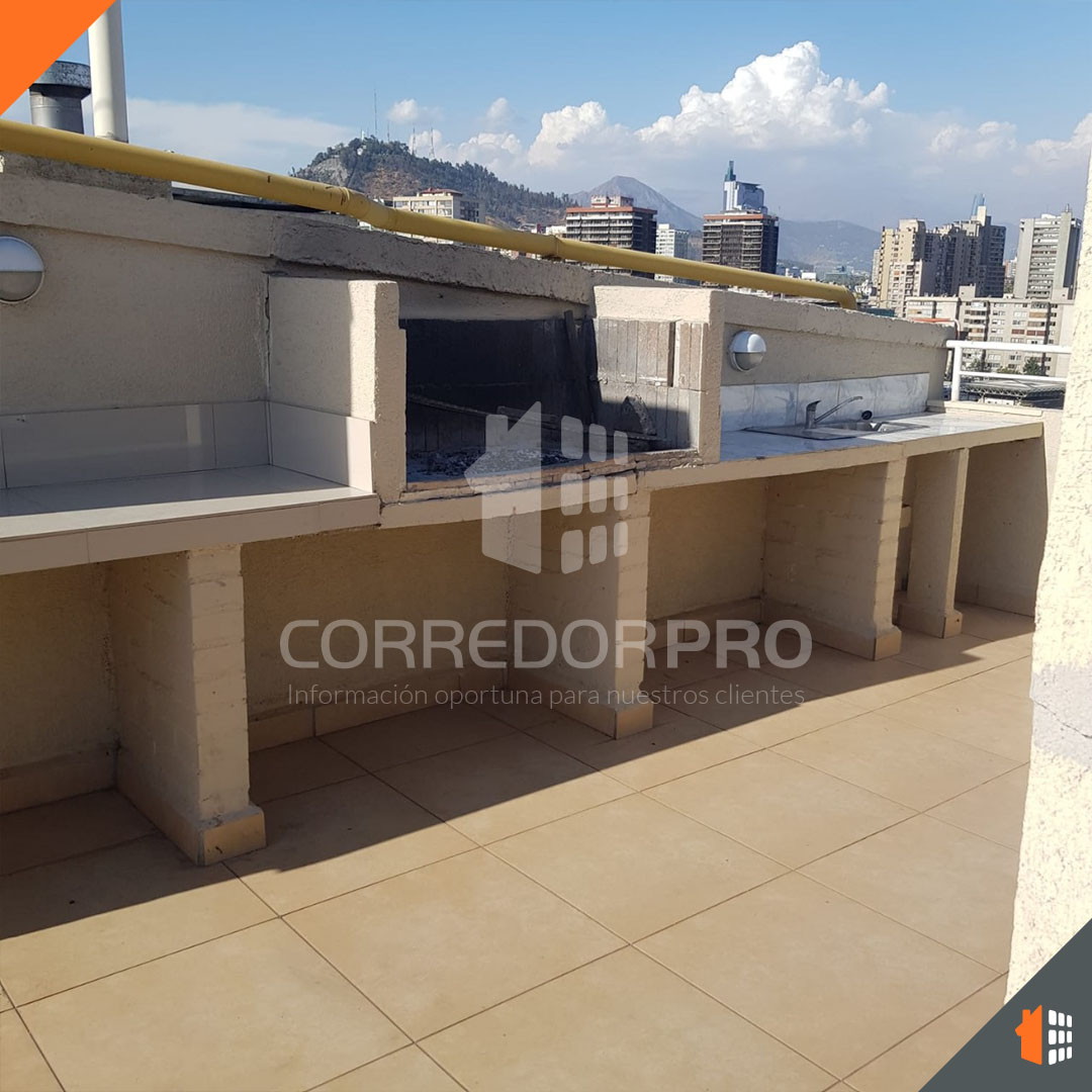 Santiago, Región Metropolitana, 1 Dormitorio Habitaciones, ,1 BañoBathrooms,Departamento,En Venta,2383