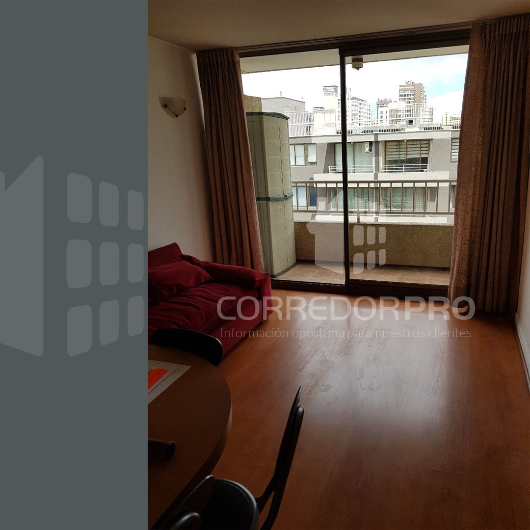 Santiago, Región Metropolitana, 1 Dormitorio Habitaciones, ,1 BañoBathrooms,Departamento,En Venta,2383