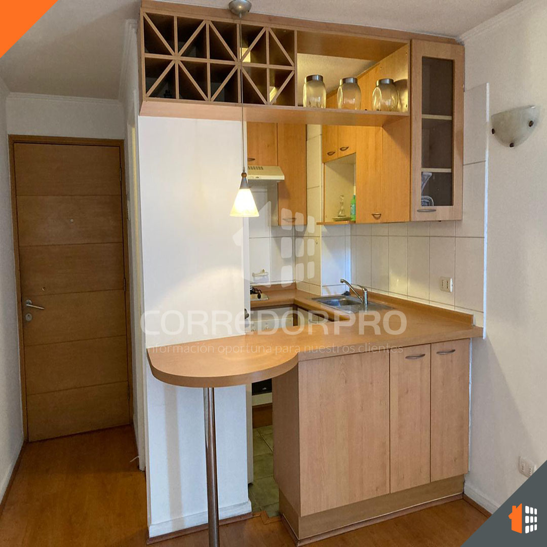 Santiago, Región Metropolitana, 1 Dormitorio Habitaciones, ,1 BañoBathrooms,Departamento,En Venta,2383