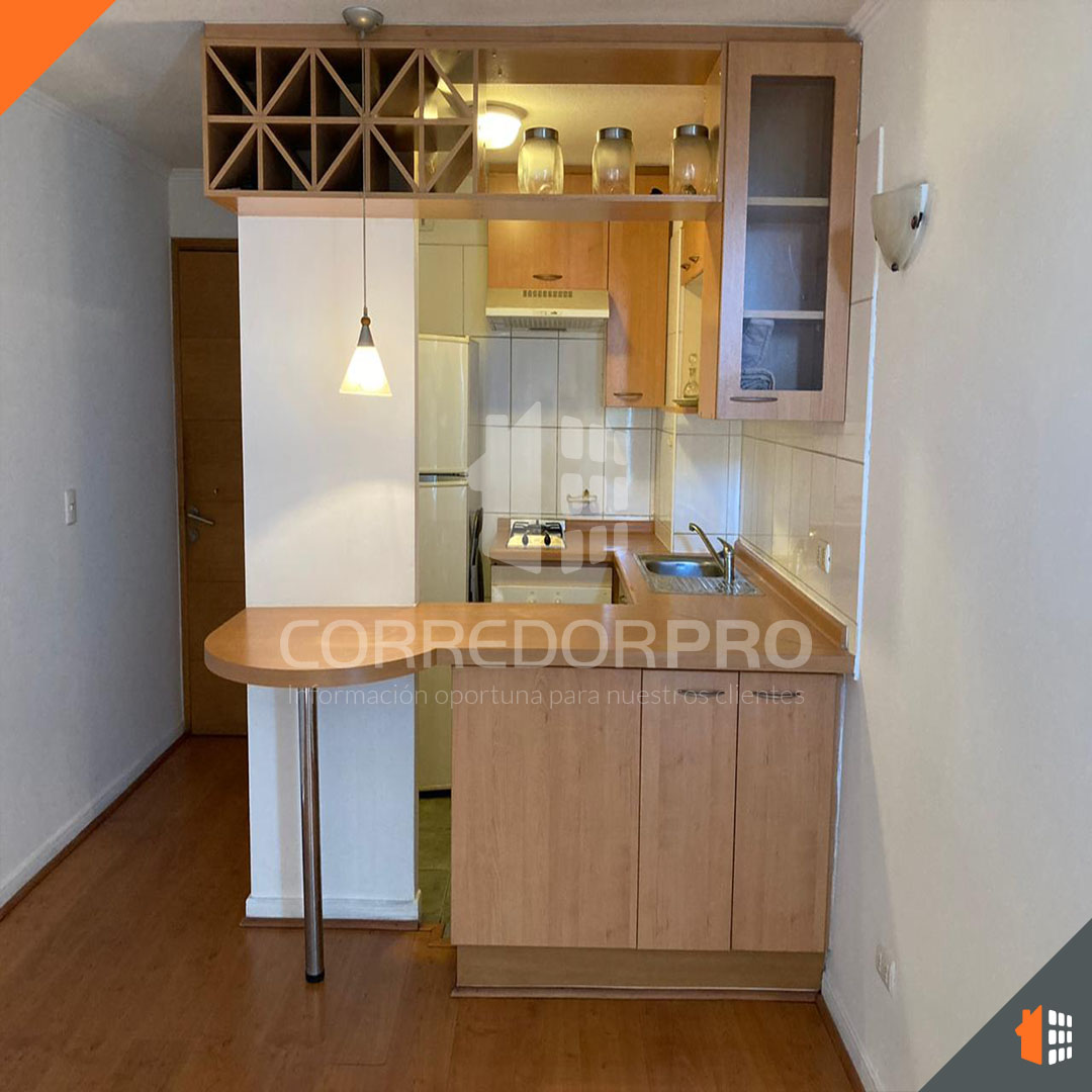 Santiago, Región Metropolitana, 1 Dormitorio Habitaciones, ,1 BañoBathrooms,Departamento,En Venta,2383