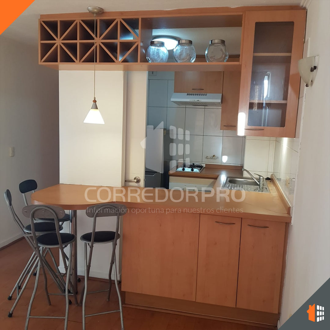 Santiago, Región Metropolitana, 1 Dormitorio Habitaciones, ,1 BañoBathrooms,Departamento,En Venta,2383