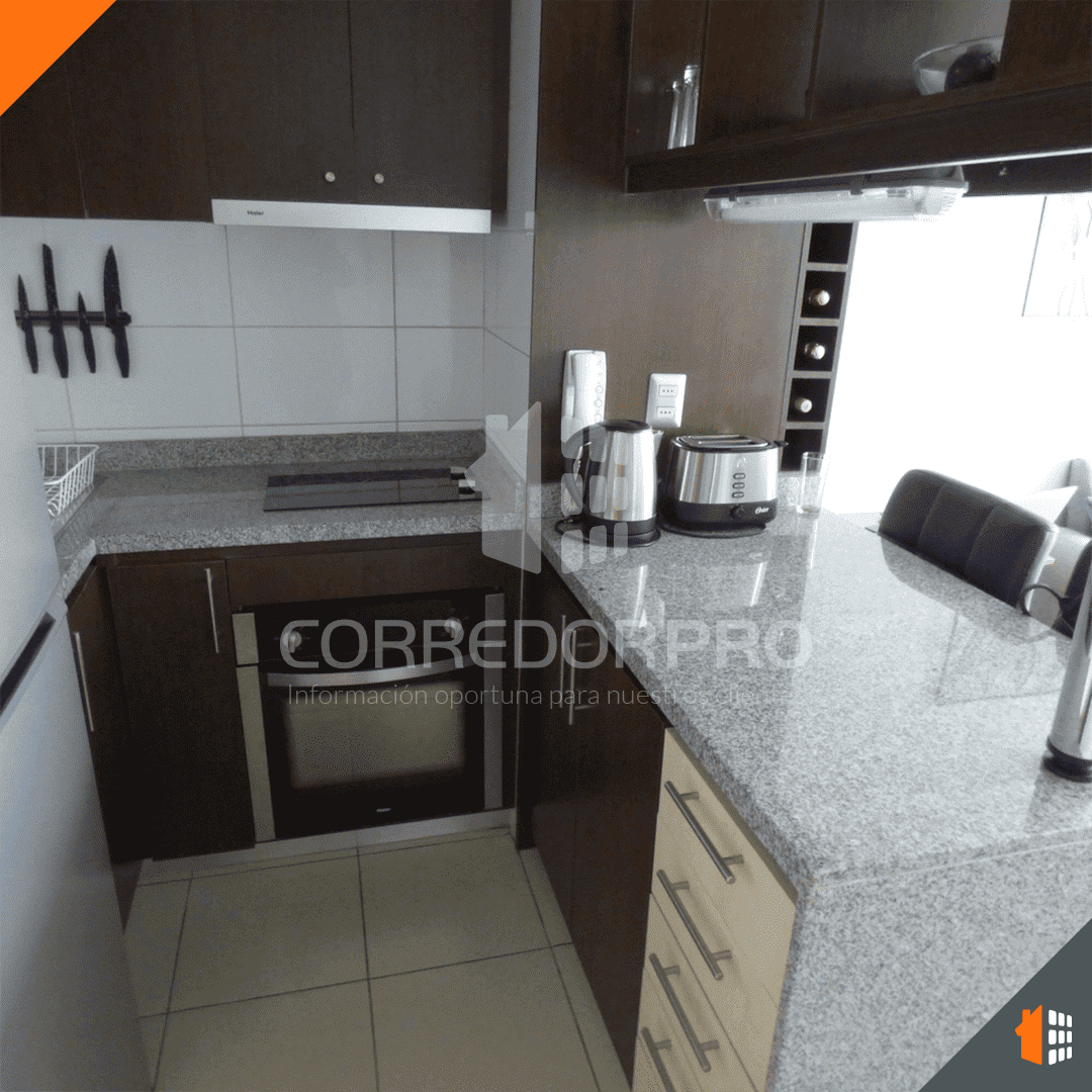 Recoleta, Región Metropolitana, 1 Dormitorio Habitaciones, ,1 BañoBathrooms,Departamento,En Arriendo,2385