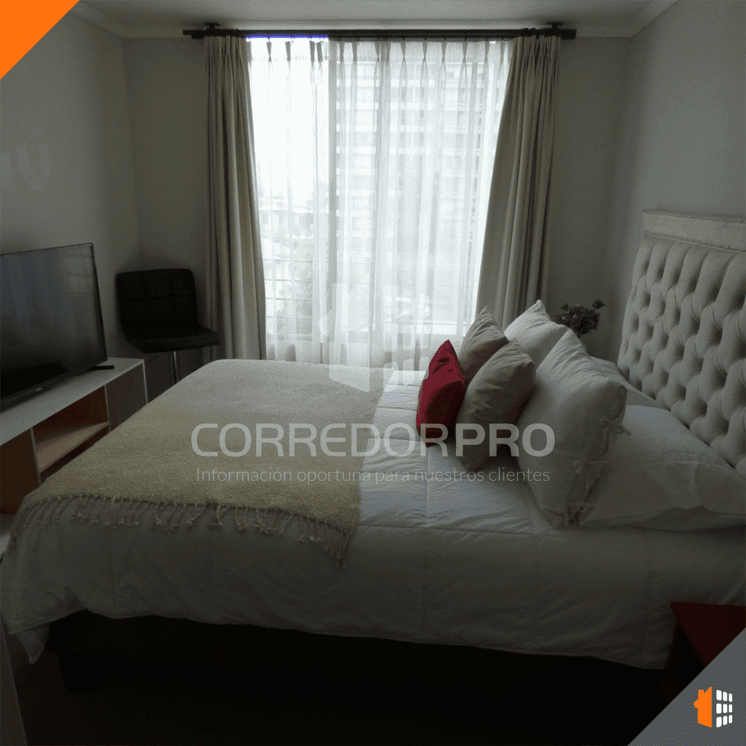 Recoleta, Región Metropolitana, 1 Dormitorio Habitaciones, ,1 BañoBathrooms,Departamento,En Arriendo,2385