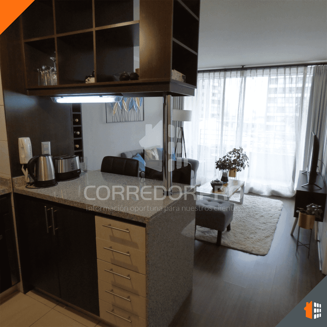 Recoleta, Región Metropolitana, 1 Dormitorio Habitaciones, ,1 BañoBathrooms,Departamento,En Arriendo,2385