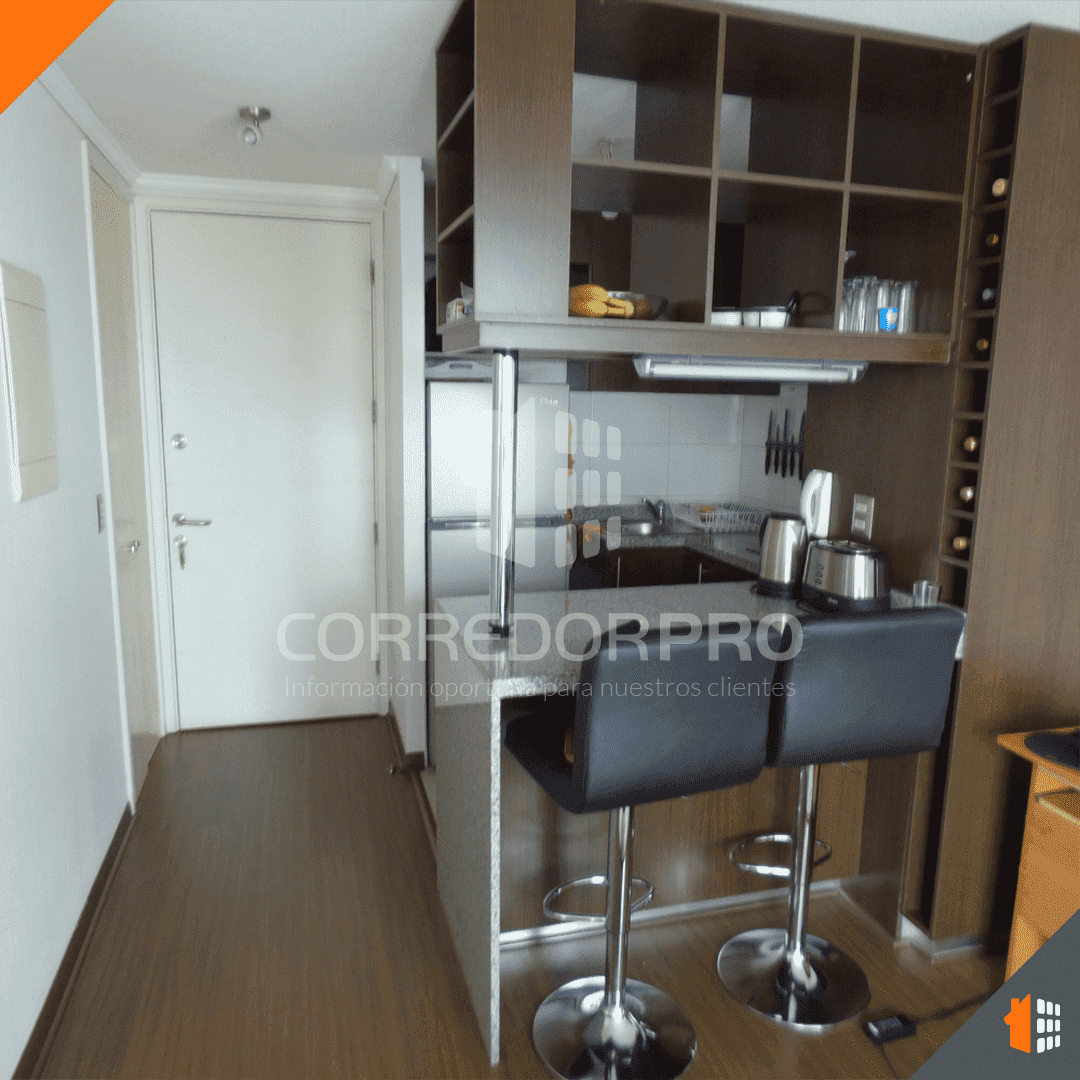 Recoleta, Región Metropolitana, 1 Dormitorio Habitaciones, ,1 BañoBathrooms,Departamento,En Arriendo,2385