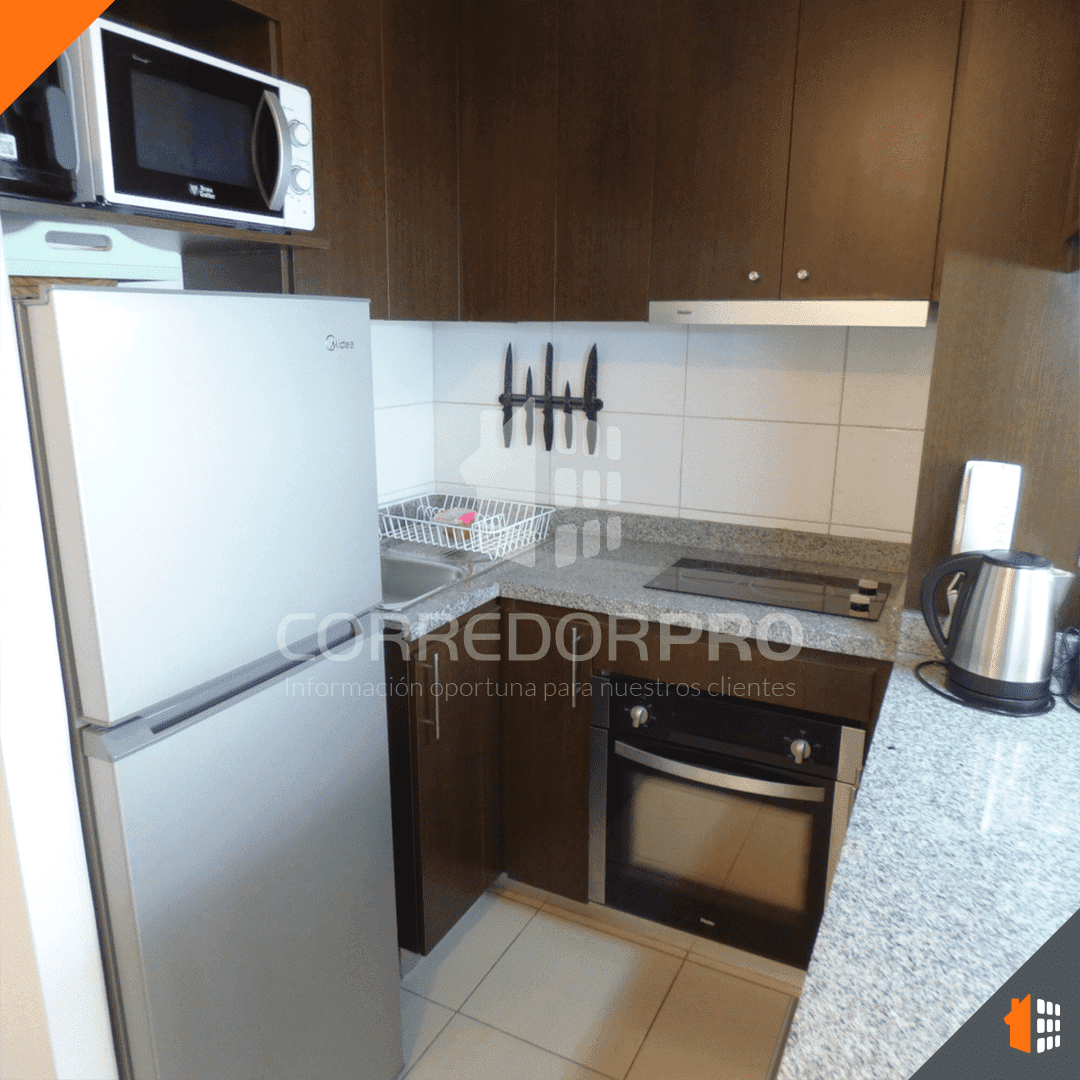 Recoleta, Región Metropolitana, 1 Dormitorio Habitaciones, ,1 BañoBathrooms,Departamento,En Arriendo,2385