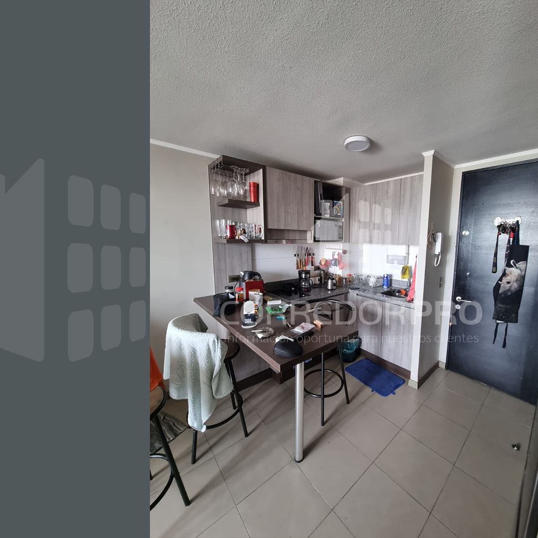 Santiago, Región Metropolitana, 1 Dormitorio Habitaciones, ,1 BañoBathrooms,Departamento,En Venta,2388