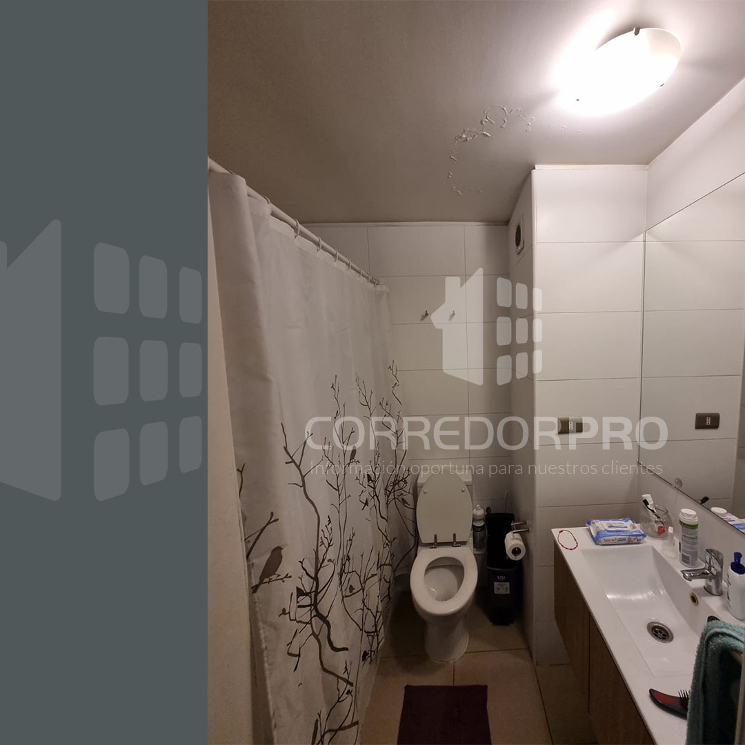 Santiago, Región Metropolitana, 1 Dormitorio Habitaciones, ,1 BañoBathrooms,Departamento,En Venta,2388