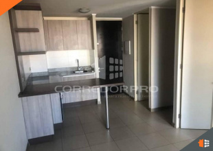 Santiago, Región Metropolitana, 1 Dormitorio Habitaciones, ,1 BañoBathrooms,Departamento,En Venta,2388