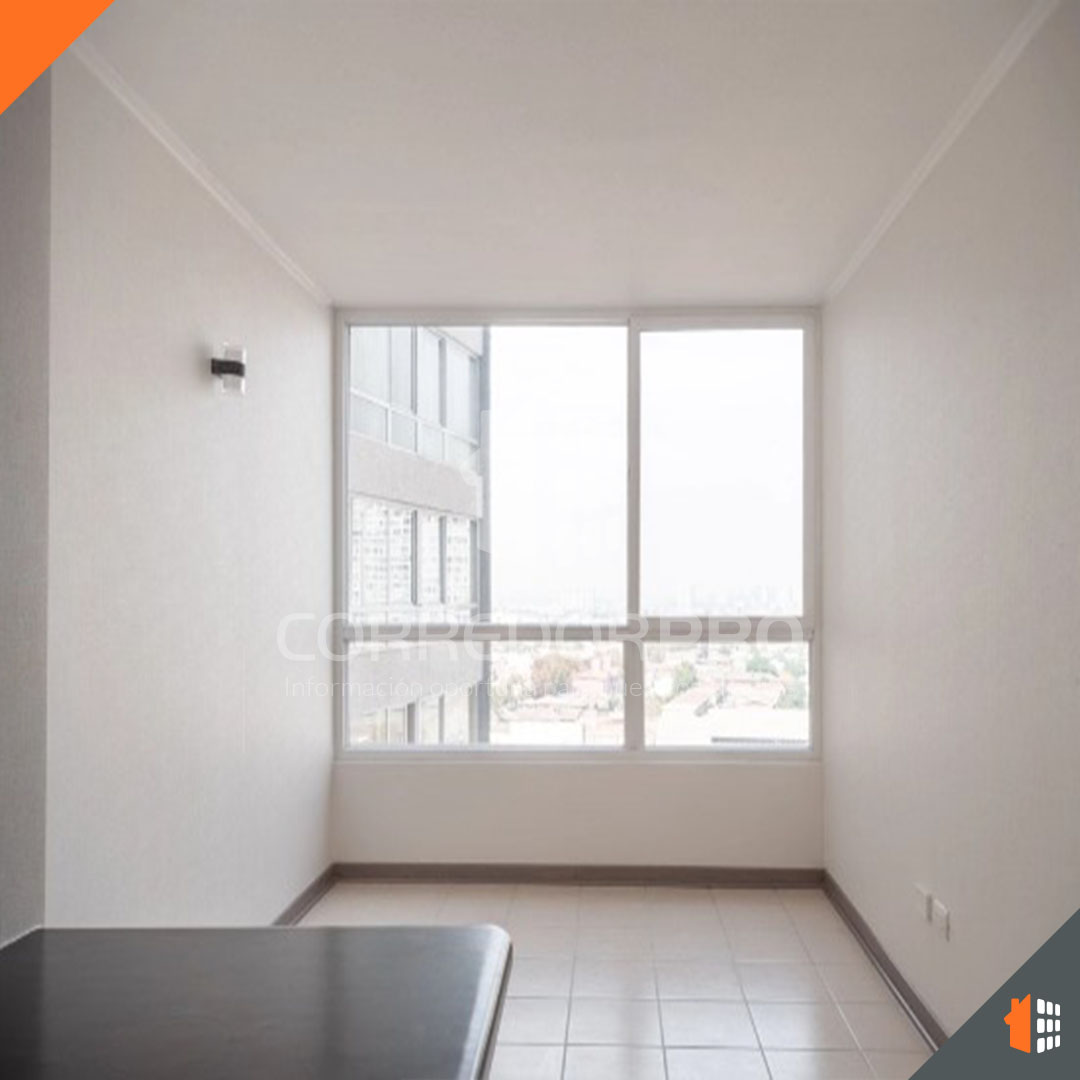 Santiago, Región Metropolitana, 1 Dormitorio Habitaciones, ,1 BañoBathrooms,Departamento,En Venta,2391