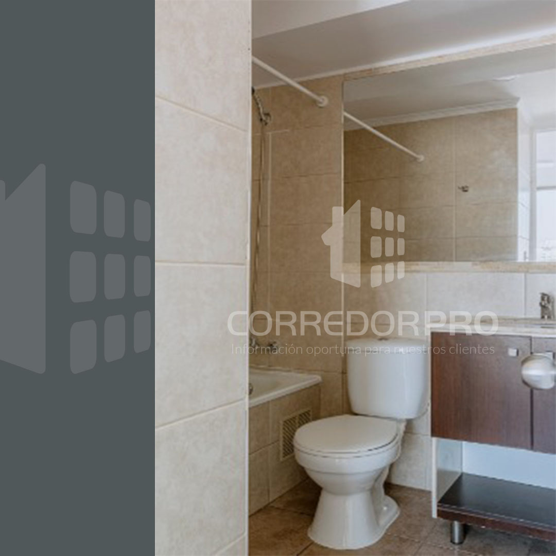 Santiago, Región Metropolitana, 1 Dormitorio Habitaciones, ,1 BañoBathrooms,Departamento,En Venta,2392