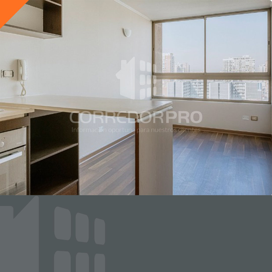 Santiago, Región Metropolitana, 1 Dormitorio Habitaciones, ,1 BañoBathrooms,Departamento,En Venta,2392