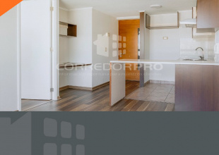 Santiago, Región Metropolitana, 1 Dormitorio Habitaciones, ,1 BañoBathrooms,Departamento,En Venta,2392