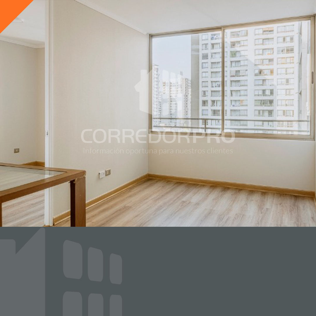 Santiago, Región Metropolitana, 1 Dormitorio Habitaciones, ,1 BañoBathrooms,Departamento,En Venta,2395