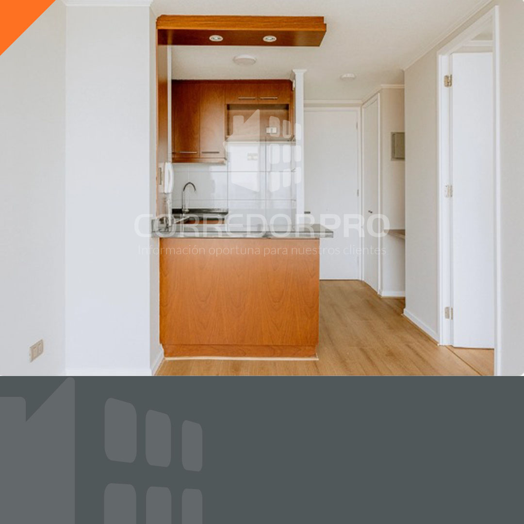 Santiago, Región Metropolitana, 1 Dormitorio Habitaciones, ,1 BañoBathrooms,Departamento,En Venta,2396