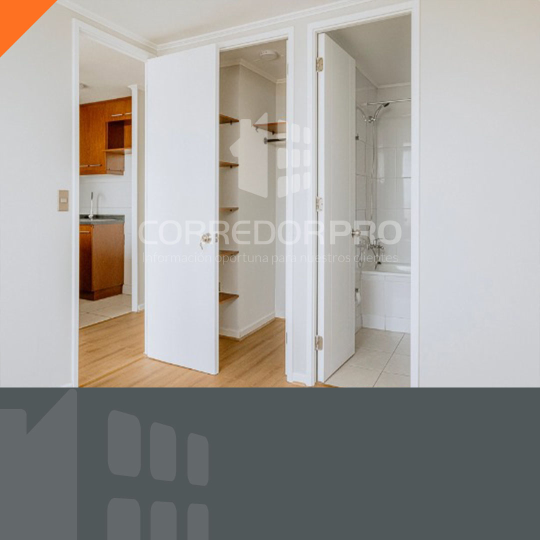 Santiago, Región Metropolitana, 1 Dormitorio Habitaciones, ,1 BañoBathrooms,Departamento,En Venta,2396