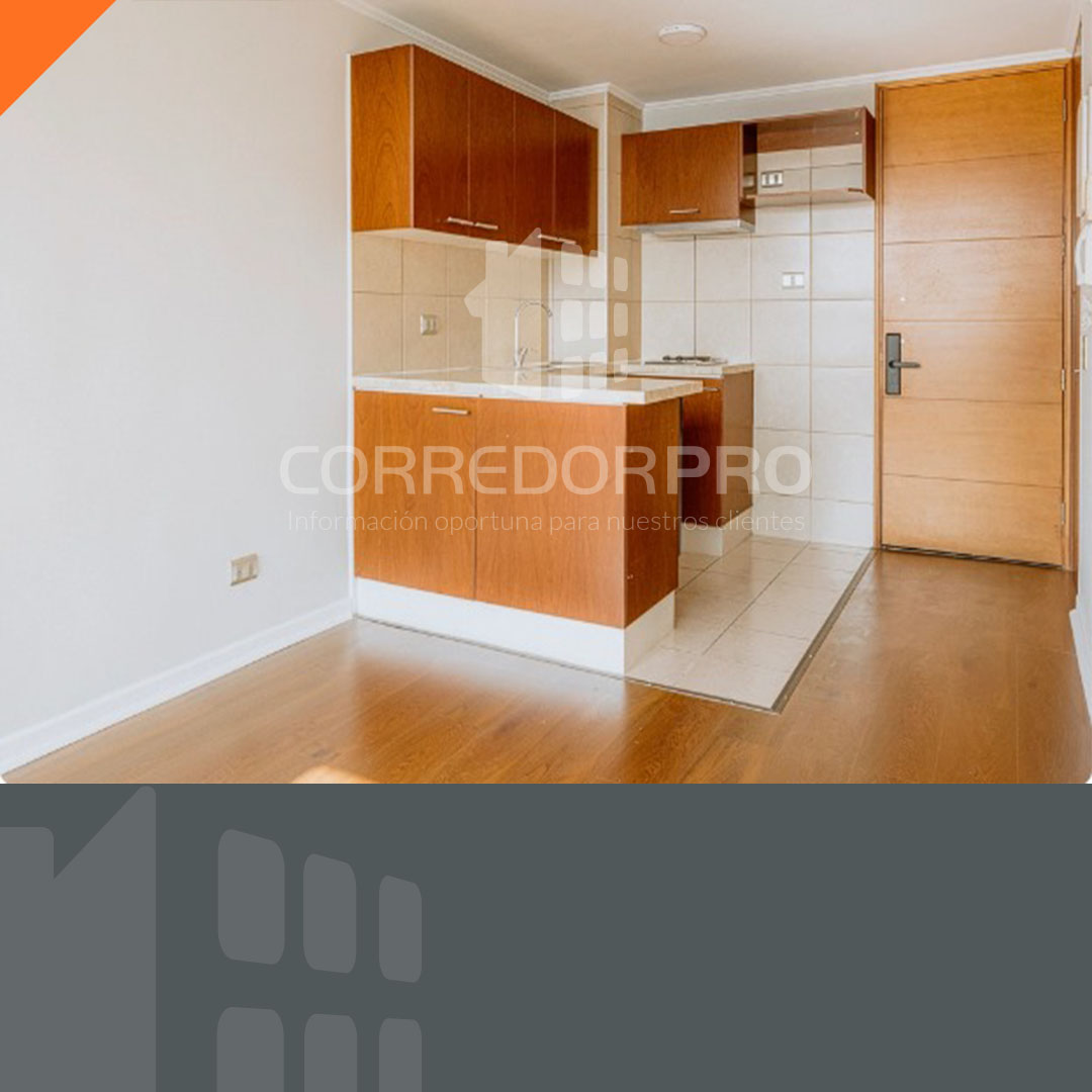 Santiago, Región Metropolitana, 1 Dormitorio Habitaciones, ,1 BañoBathrooms,Departamento,En Venta,2397