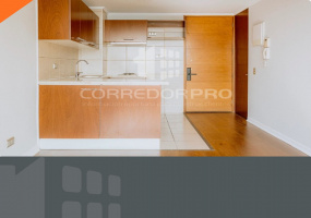 Santiago, Región Metropolitana, 1 Dormitorio Habitaciones, ,1 BañoBathrooms,Departamento,En Venta,2397