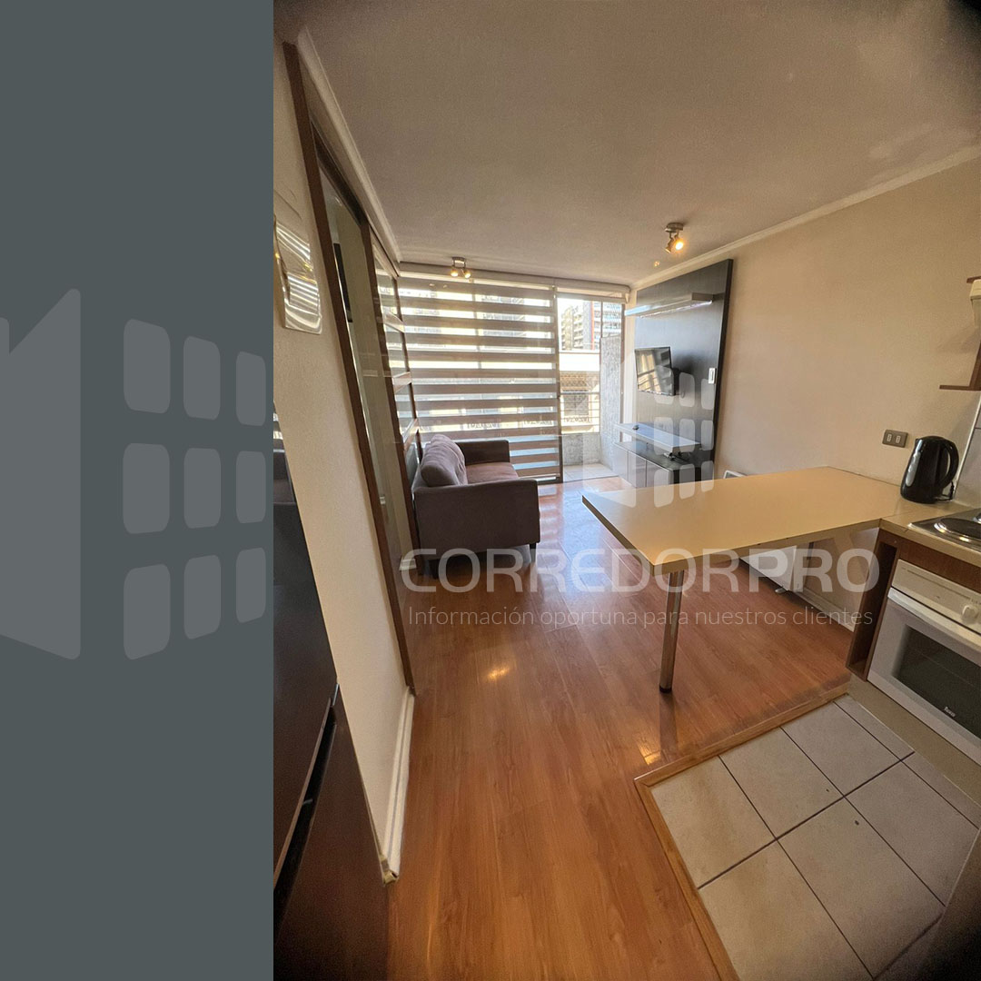 Santiago, Región Metropolitana, 1 Dormitorio Habitaciones, ,1 BañoBathrooms,Departamento,En Venta,2411