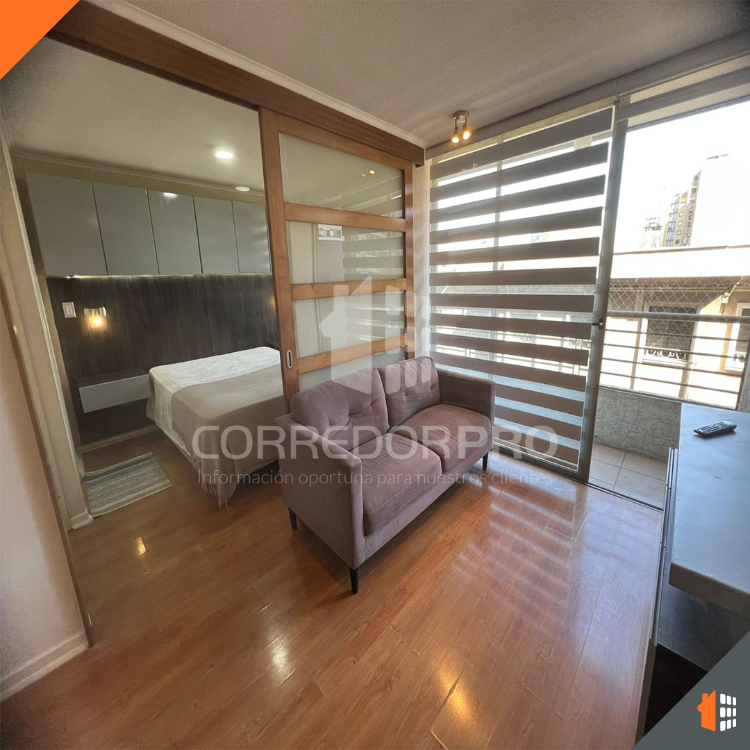 Santiago, Región Metropolitana, 1 Dormitorio Habitaciones, ,1 BañoBathrooms,Departamento,En Venta,2411