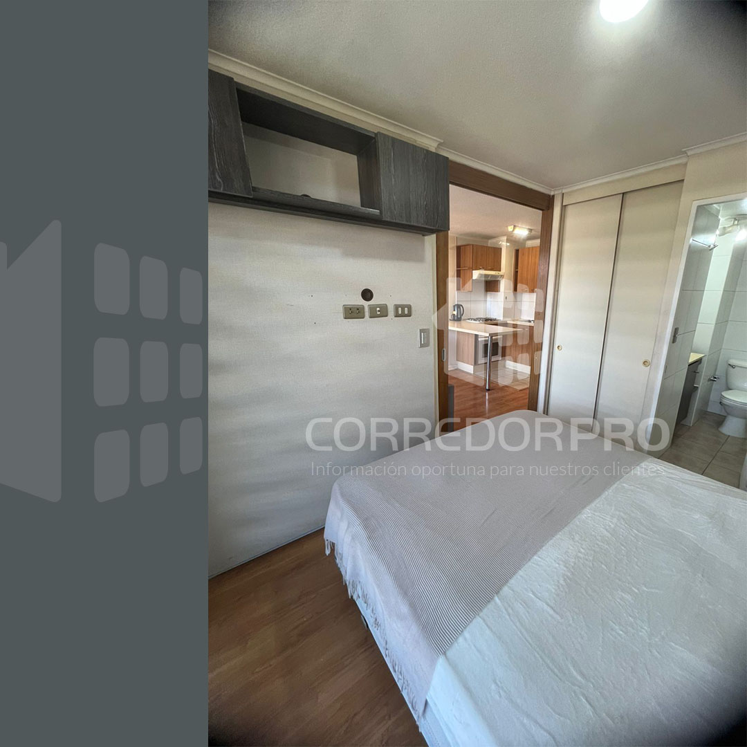 Santiago, Región Metropolitana, 1 Dormitorio Habitaciones, ,1 BañoBathrooms,Departamento,En Venta,2411