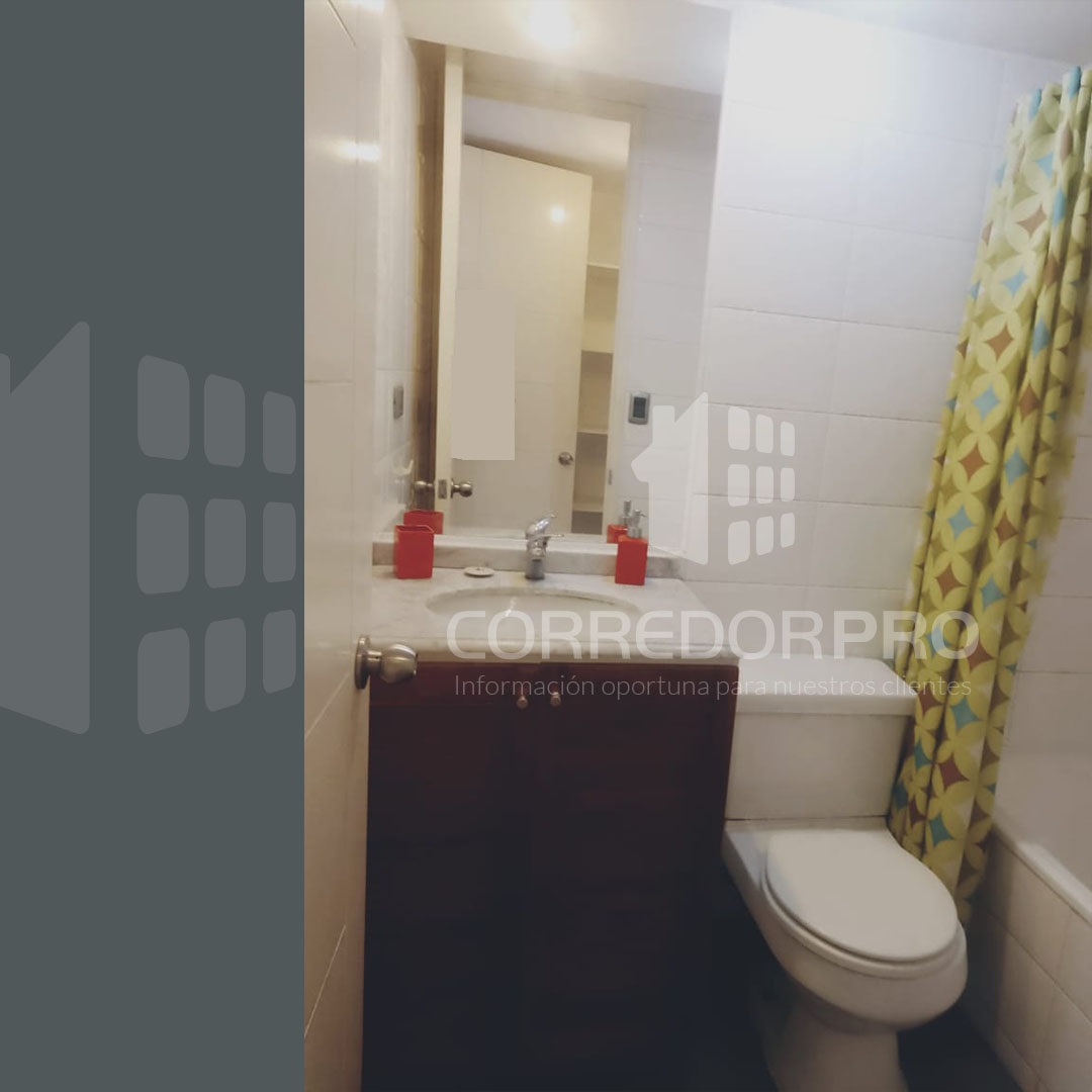 Santiago, Región Metropolitana, 1 Dormitorio Habitaciones, ,1 BañoBathrooms,Departamento,En Venta,2430