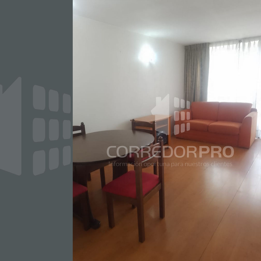 Santiago, Región Metropolitana, 1 Dormitorio Habitaciones, ,1 BañoBathrooms,Departamento,En Venta,2430