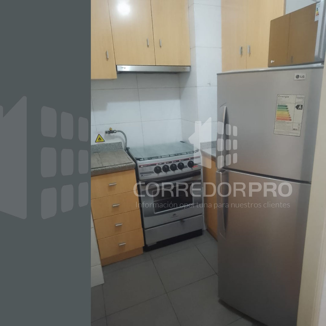 Santiago, Región Metropolitana, 1 Dormitorio Habitaciones, ,1 BañoBathrooms,Departamento,En Venta,2430