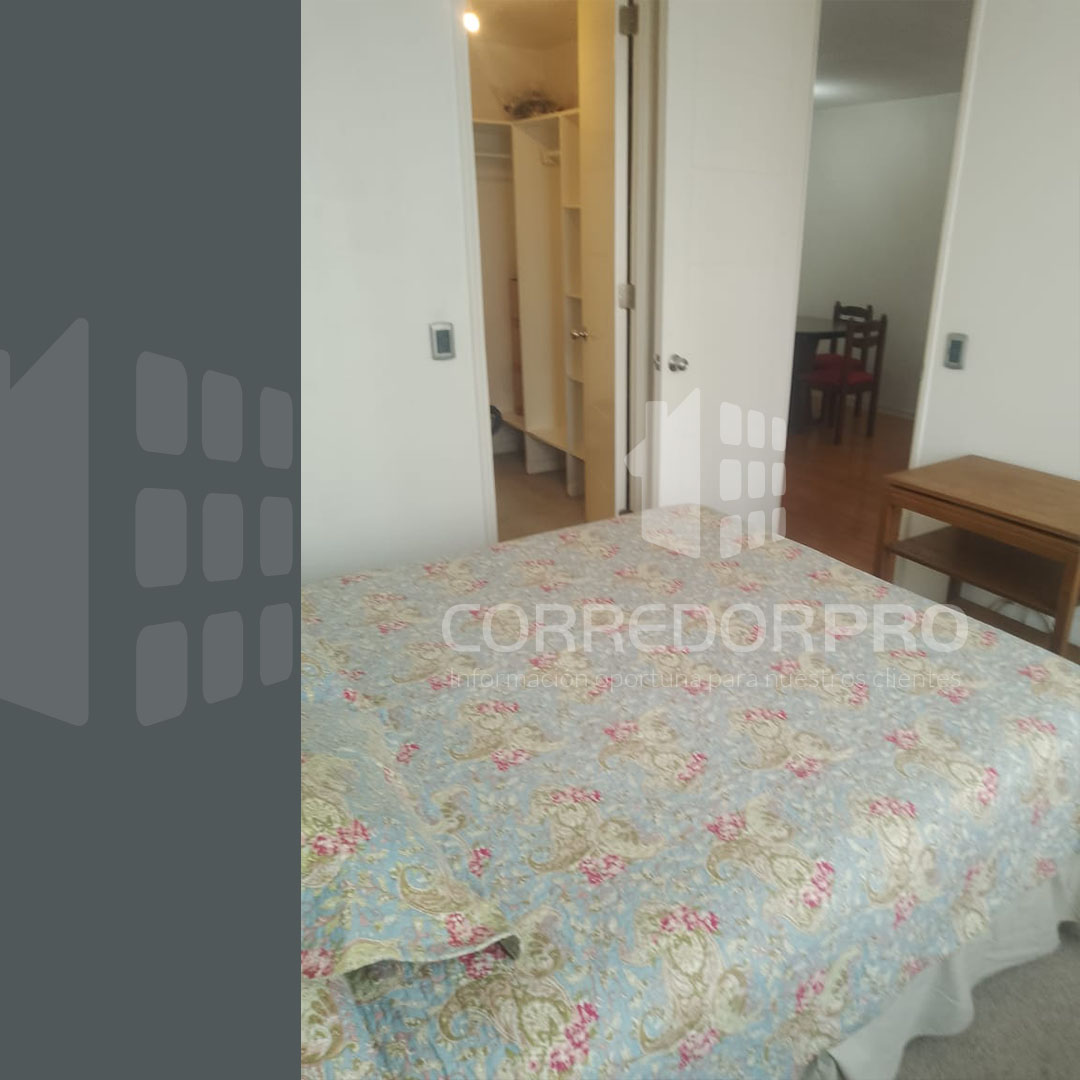 Santiago, Región Metropolitana, 1 Dormitorio Habitaciones, ,1 BañoBathrooms,Departamento,En Venta,2430