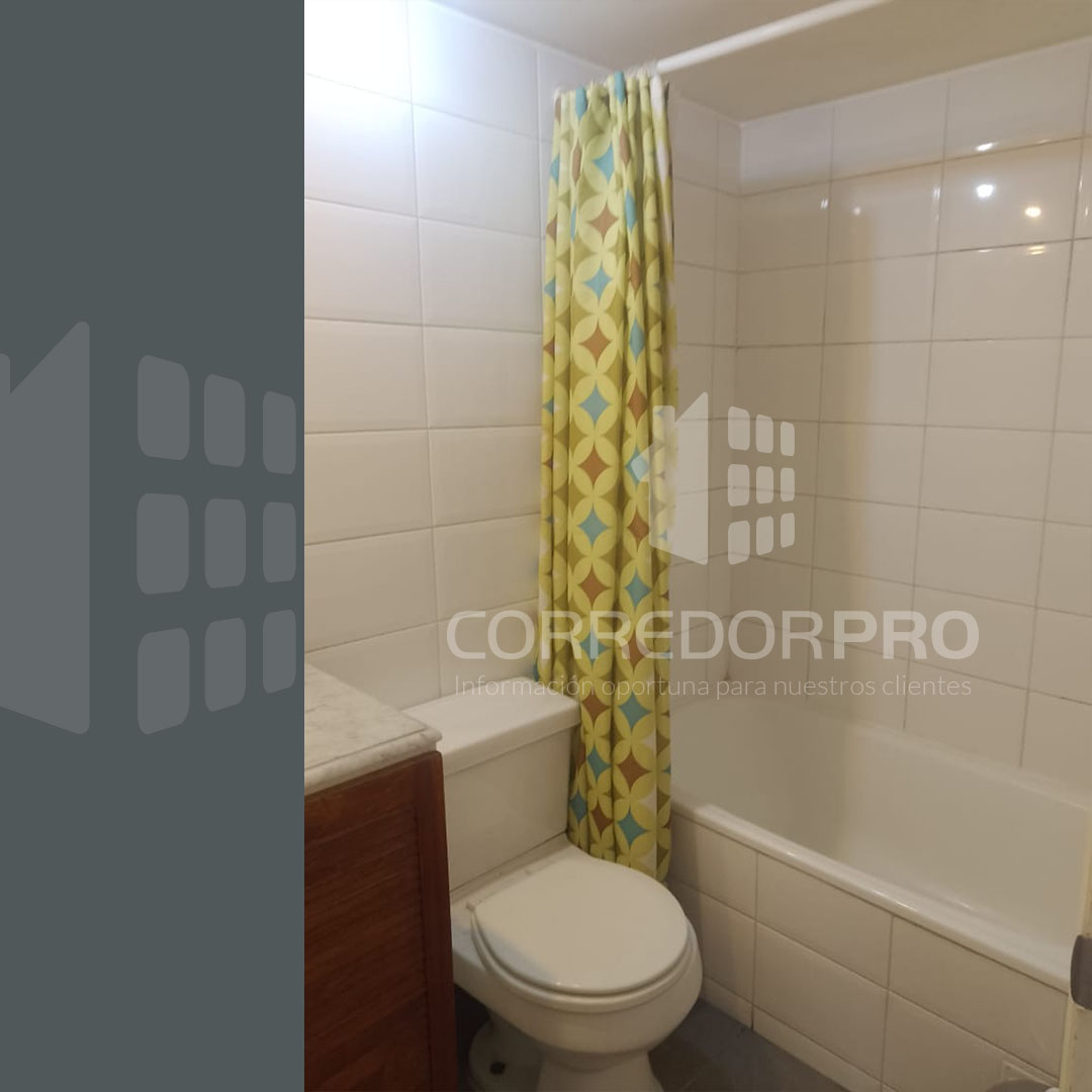 Santiago, Región Metropolitana, 1 Dormitorio Habitaciones, ,1 BañoBathrooms,Departamento,En Venta,2430